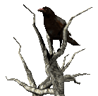 transparent crow gif in trees question mark